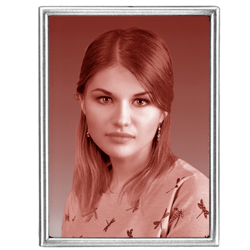 retangulo-sepia-cromado.png retangulo-sepia-cromado.png